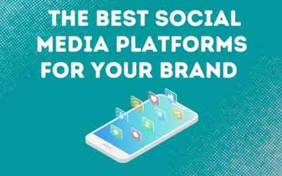 The Best Social Media Platforms For Your Brand