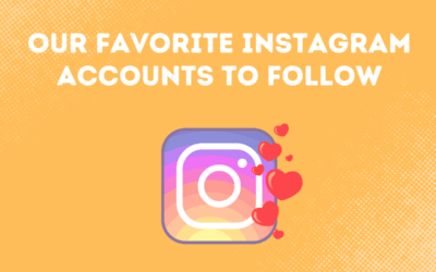 Our Favorite Instagram Accounts To Follow